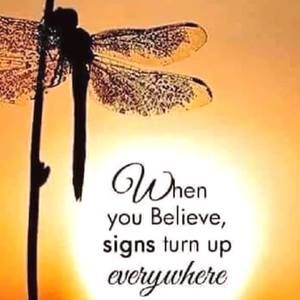 Meet your Posher, Johnna